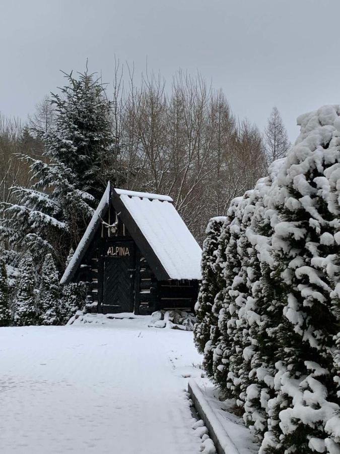 Hotel Alpina Krynica-Zdrój Zewnętrze zdjęcie